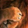 Реорганизация лиг ФСИ - последнее сообщение от Lion
